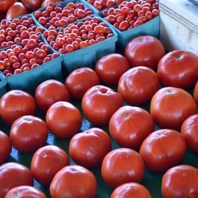 Heirloom Tomatoes are yummy and good for you.